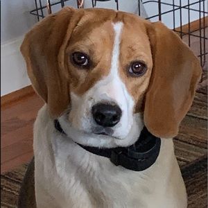 Meet your Posher, Nilene